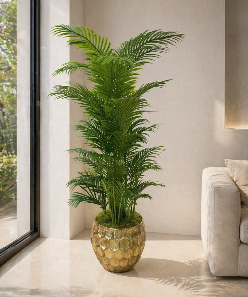 Gold Metal Saksıda Areka Palmiyesi 190 cm
